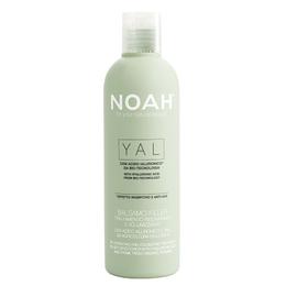 Balsam Tratament cu Acid Hialuronic pentru Volum si Hidratare Yal Noah, 250ml la cel mai bun pret