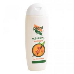 Balsam pentru Par cu Ulei de Catina Plant Activ, 200 ml la cel mai bun pret