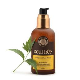 Gel de Curatare pentru Ten cu Nutgrass Soultree, 120 ml la cel mai bun pret