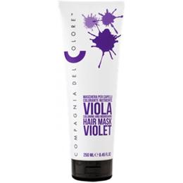 Masca Coloranta Nuantatoare Compagnia del Colore, nuanta Violet, 250 ml la cel mai bun pret