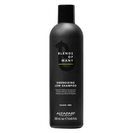 Sampon Energizant Anti-Cadere – Alfaparf Milano Blends of Many Energizing Low Shampoo, 250ml la cel mai bun pret