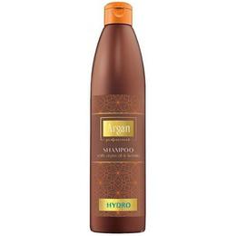 Sampon Hidratant cu Ulei de Argan – Precious Argan Hydro Shampoo with Argan Oil, 500ml la cel mai bun pret