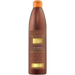 Sampon Reparator cu Ulei de Argan – Precious Argan Repair Shampoo with Argan Oil, 500ml la cel mai bun pret