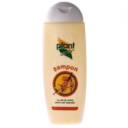 Sampon cu Catina pentru Par Degradat Plant Activ, 400 ml la cel mai bun pret