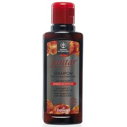 Sampon cu Extract de Chihlimbar pentru Par Deteriorat – Farmona Jantar Shampoo with Amber Extract for Damaged and Weak Hair, 100ml la cel mai bun pret