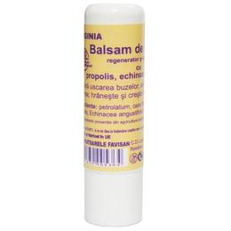 Balsam de Buze cu Propolis Virginia Favisan, 5ml la cel mai bun pret