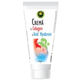 Crema cu Colagen si Acid Hialuronic Hypericum, 70ml la cel mai bun pret