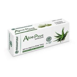 Gel cu argint și Aloe Vera VivaNatura Aloe Plant 20ml la cel mai bun pret