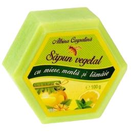 Sapun Hexagonal Vegetal cu Miere, Menta si Lamaie Albina Carpatina, Apicola Pastoral Georgescu, 100g la cel mai bun pret