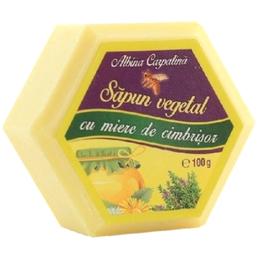 Sapun Hexagonal Vegetal cu Miere si Cimbrisor Albina Carpatina, Apicola Pastoral Georgescu, 100g la cel mai bun pret