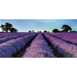 Set Cadou Sapun Natural Marsilia 30g Invitati Lavanda si Saculet Flori Lavanda Naturala de Provence 7g Le Chatelard 1802 cu comanda online