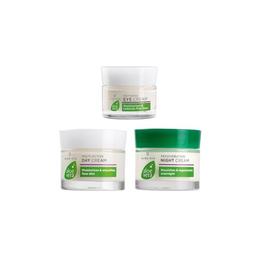 Set cadou de îngrijire intensivÄƒ Aloe Vera ( crema zi 50 ml + crema noapte 50 ml + crema ochi 15 ml ) – Lr Health & Beauty cu comanda online