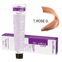 Vopsea Crema Anti-Ingalbenire Fanola No Yellow Color T. ROSE G. Toner Roz Auriu, 100ml la cel mai bun pret