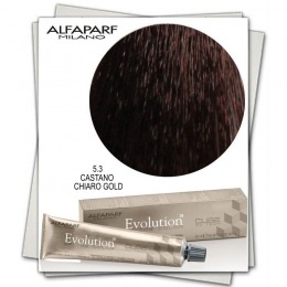 Vopsea Permanenta – Alfaparf Milano Evolution of the Color nuanta 5.3 Castano Chiaro Gold la cel mai bun pret